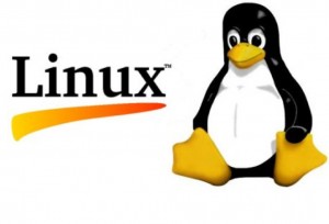 Курсы по администрированию Linux